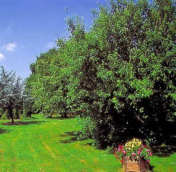 - Restaurant Jockel 3*